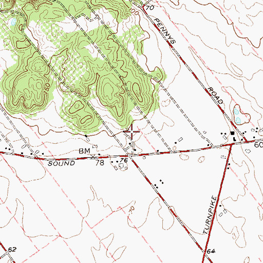 Topographic Map of Briermere Farms, NY