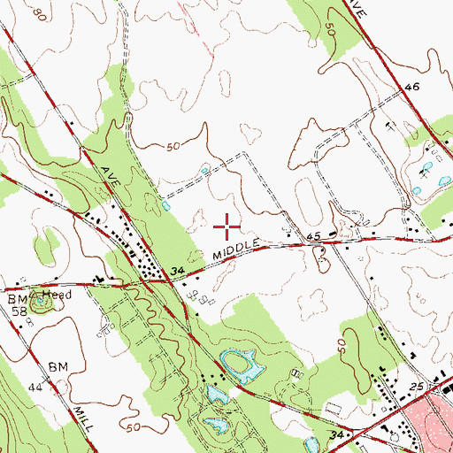 Topographic Map of Peace And Plenty Horse Farm, NY