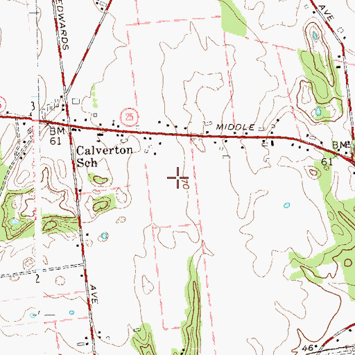 Topographic Map of Abbess Farm, NY