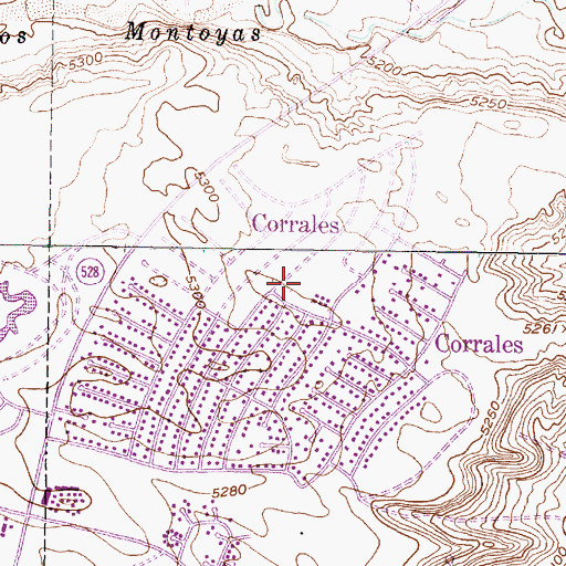 Topographic Map of Rio Rancho Elementary, NM