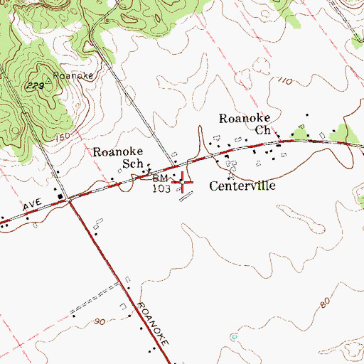 Topographic Map of Roanoke Vineyards, NY
