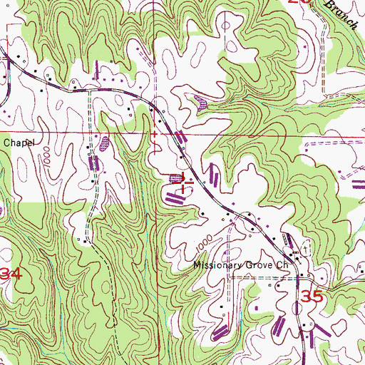Topographic Map of Steele Orchard, AL