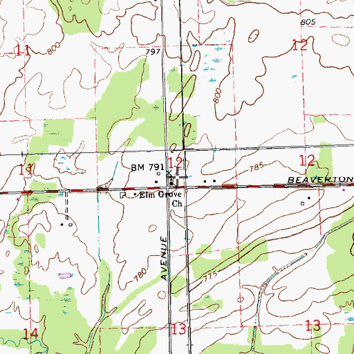 Topographic Map of Elm Grove Cemetery (historical), MI