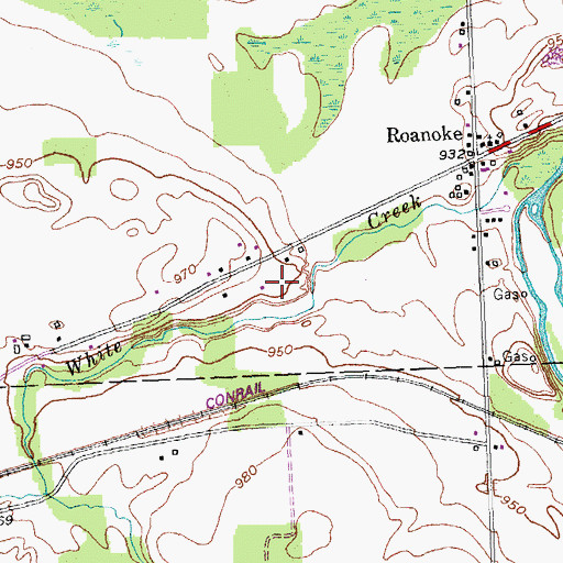 Topographic Map of Roanoke Apple Farms, NY