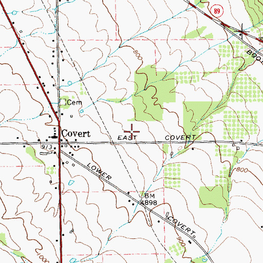 Topographic Map of Americana Vineyards And Winery, NY