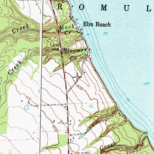 Topographic Map of Cayuga Ridge Estate Winery, NY
