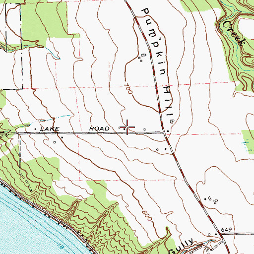 Topographic Map of Long Point Winery, NY