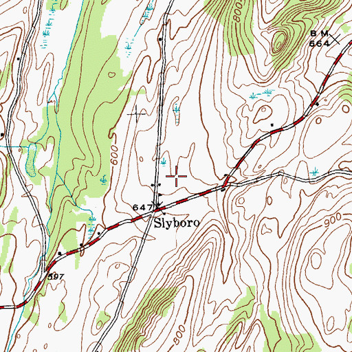 Topographic Map of Hicks Orchard, NY