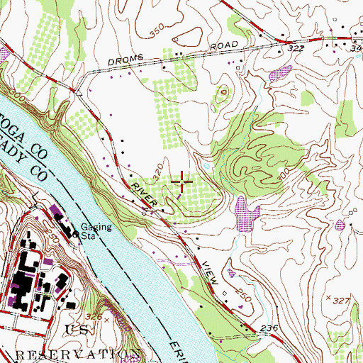 Topographic Map of Riverview Orchards, NY