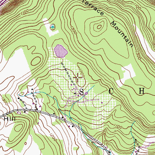 Topographic Map of Terrace Mountain Orchard, NY