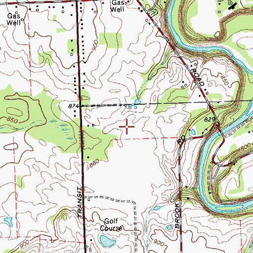 Topographic Map of Boldts Evergreen Farm, NY