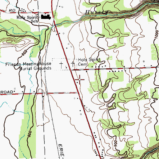 Topographic Map of Bowman Farms, NY