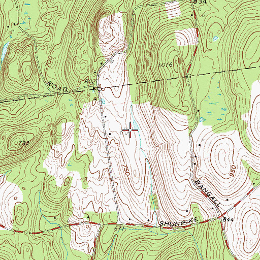 Topographic Map of Millbrook Vineyards And Winery, NY