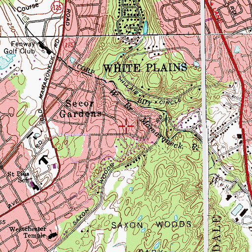 Topographic Map of Corell Park, NY
