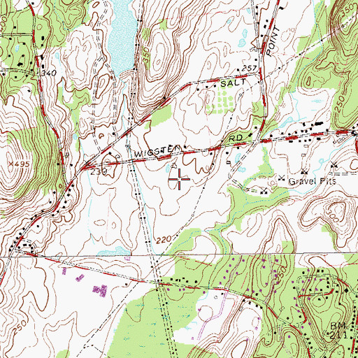 Topographic Map of Wigstens Farm, NY