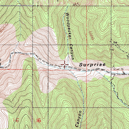 Topographic Map of Woodpecker Canyon, CA