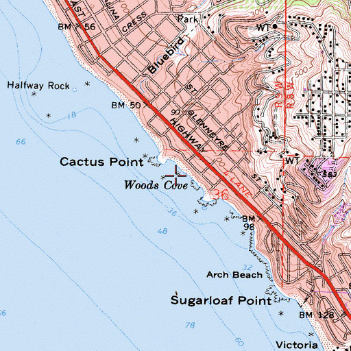 Topographic Map of Woods Cove, CA