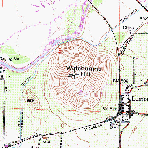 Topographic Map of Wutchumna Hill, CA