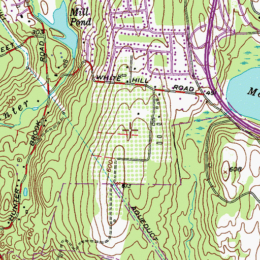 Topographic Map of Wilkens Fruit And Fir Farm, NY