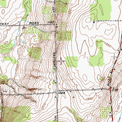 Topographic Map of Bear Farm, NY