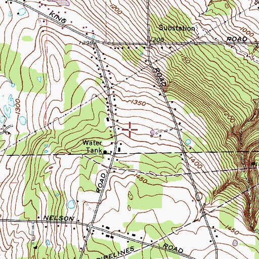 Topographic Map of Littles Greenhouse, NY