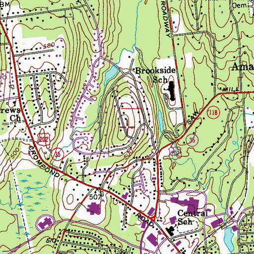 Topographic Map of Flewellen Ridge, NY