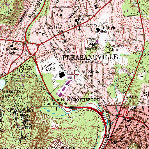 Topographic Map of The Flats, NY