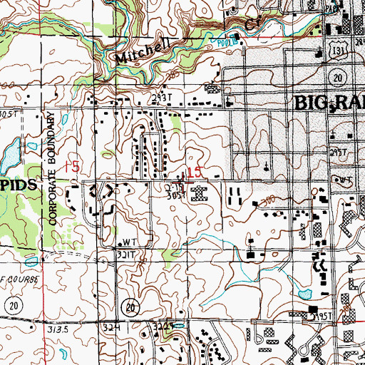 Topographic Map of Immanuel Lutheran Church, MI