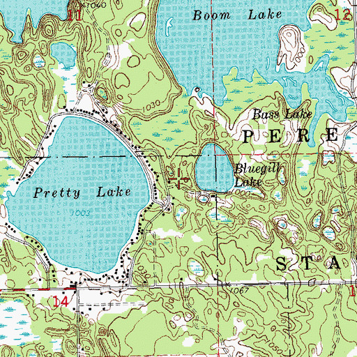 Topographic Map of Blue Gill Lake Campground, MI