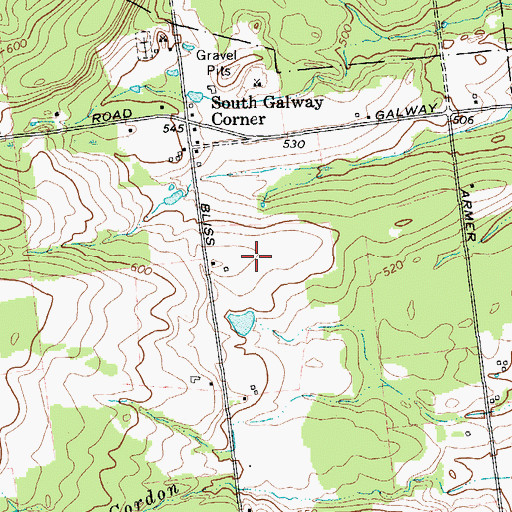 Topographic Map of Johnstons Winery, NY