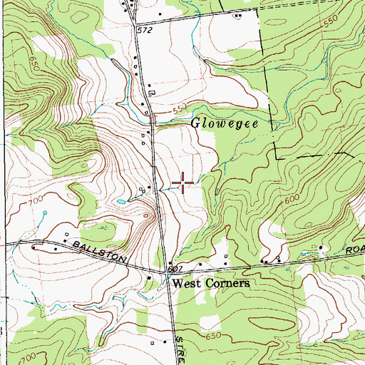 Topographic Map of Partridge Run Farm, NY
