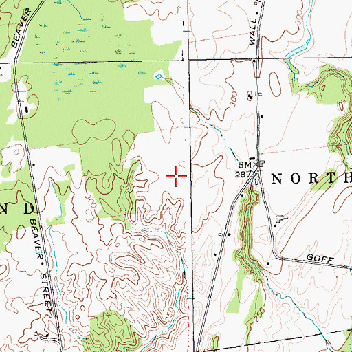 Topographic Map of Kings-Ransom Farm, NY