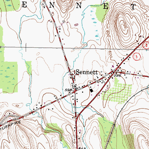 Topographic Map of Old Sennett Cemetery, NY