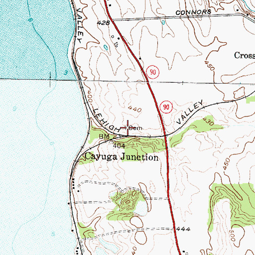 Topographic Map of Richardson Cemetery, NY