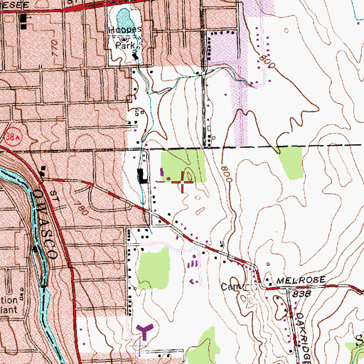 Topographic Map of Dickman Farms, NY