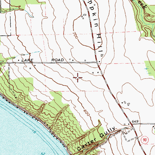 Topographic Map of Long Point Winery, NY