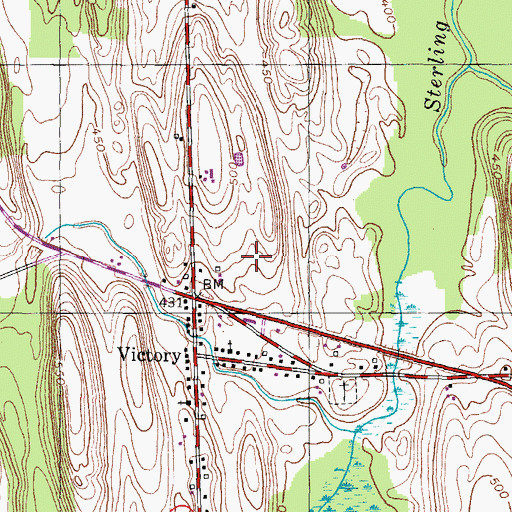 Topographic Map of Snyders Tree Farm, NY