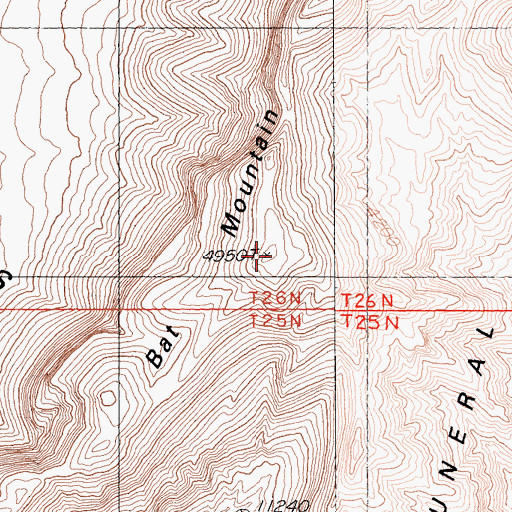 Topographic Map of Bat Mountain, CA