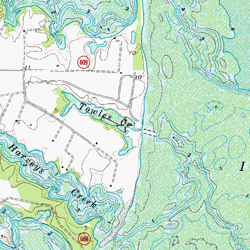 Topographic Map of Ingram Bay Marina, VA