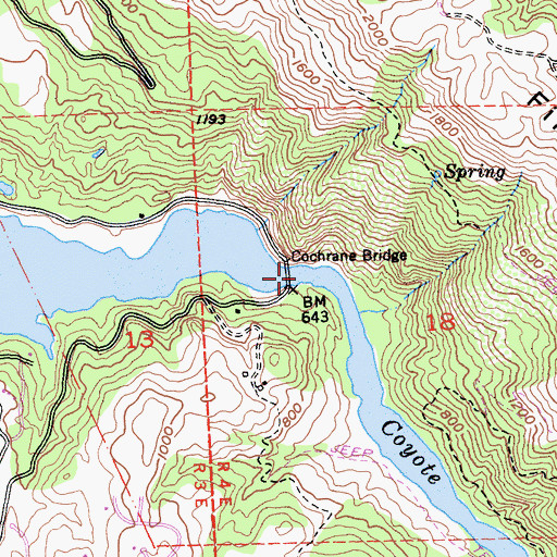 Topographic Map of Cochrane Bridge, CA
