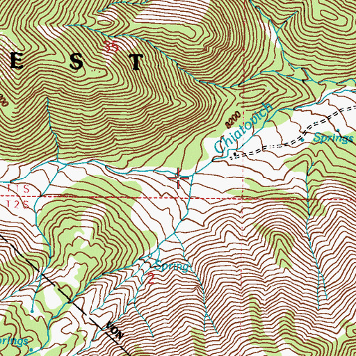 Topographic Map of North Fork Chiatovich Creek, NV