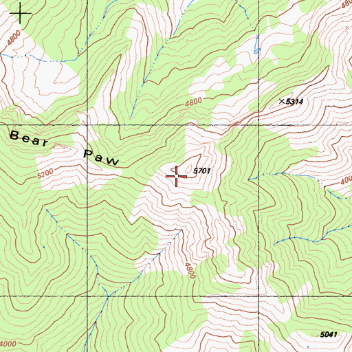 Topographic Map of Bear Paw, CA