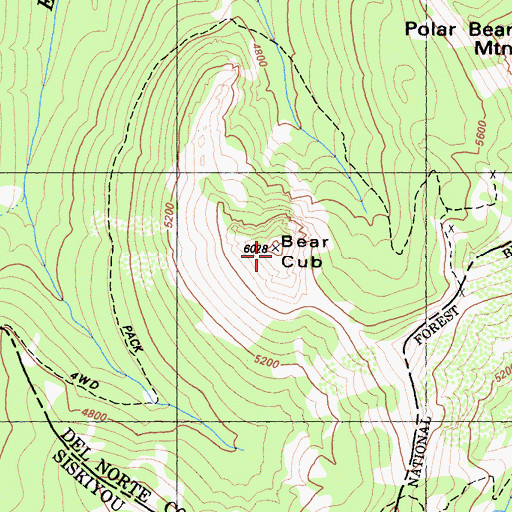 Topographic Map of Bear Cub, CA