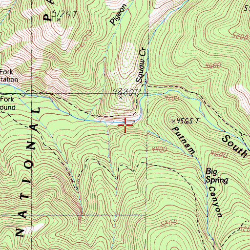 Topographic Map of Putman Creek, CA