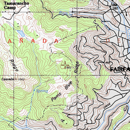 Topographic Map of Pams Blue Ridge, CA
