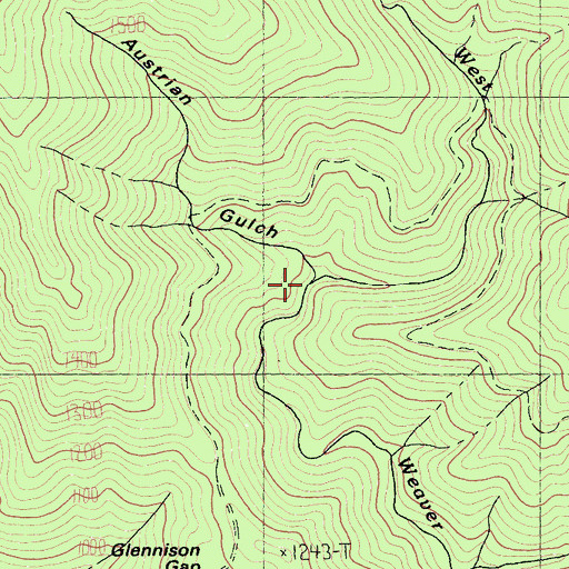 Topographic Map of Austrian Gulch, CA
