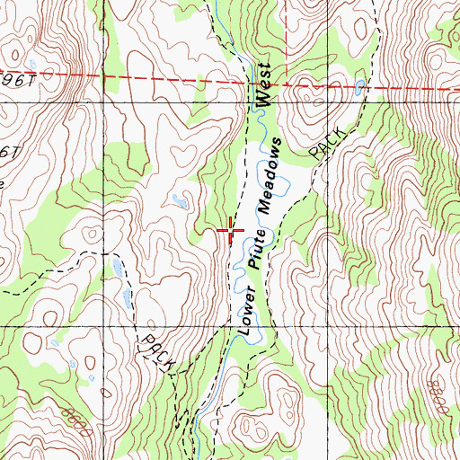 Topographic Map of Lower Piute Meadows, CA