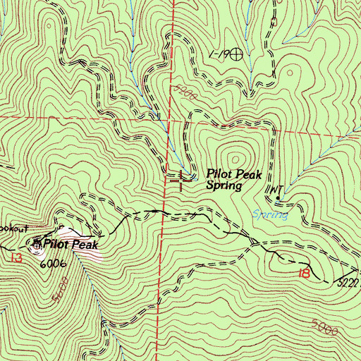Topographic Map of Pilot Peak Spring, CA