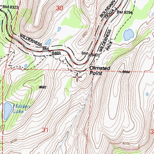 Topographic Map of Olmstead Point, CA
