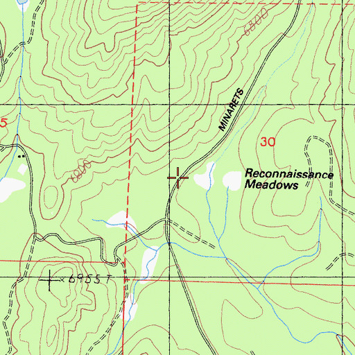 Topographic Map of Reconnaissance Meadows, CA